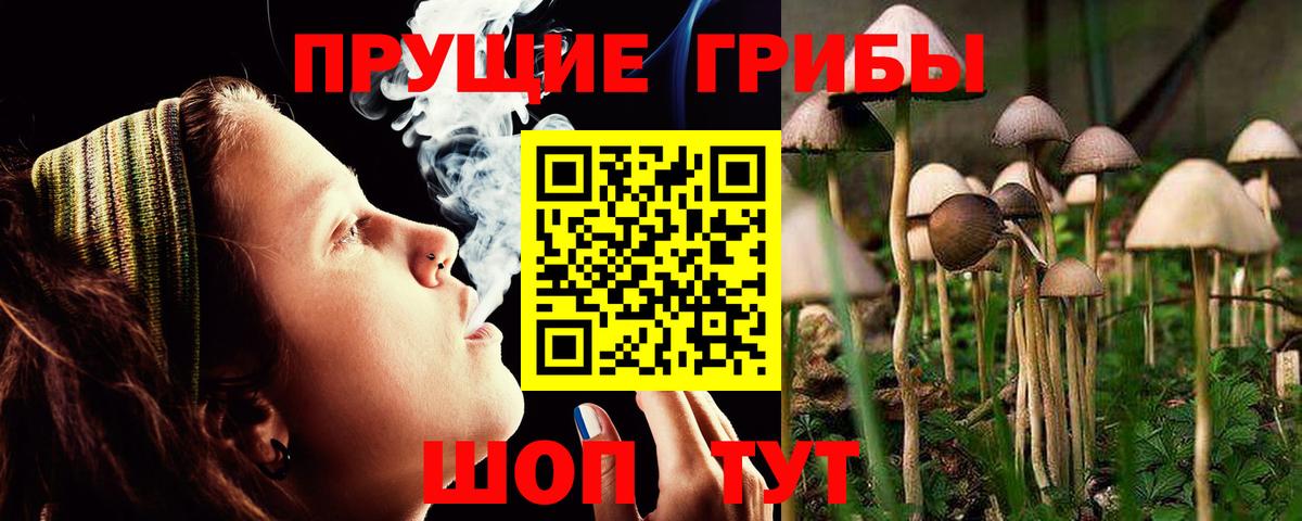 где продают наркотики  Вход с VPN  Абинск  Галлюциногенные грибы мухоморы 